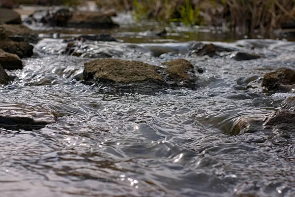 Water Small River Ravine — стоковое фото
