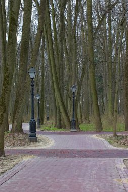 Bahar parkında ıssız bir ara sokak.