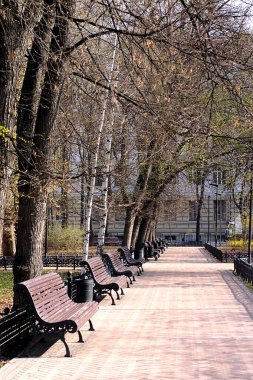 Küçük bir parktaki dar bir sokakta banklar