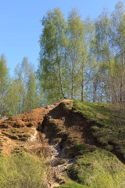 崩壊した斜面を持つ丘の上の春の木 — ストック写真
