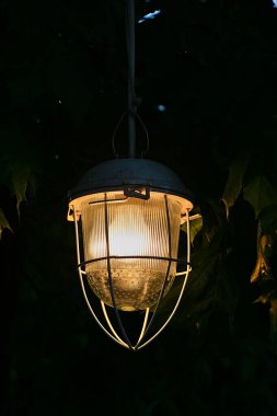 Ağacın dalları arasında bir lamba...