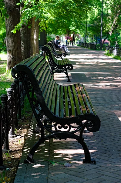 Panchine Nel Parco Una Mattina Primavera — Foto Stock