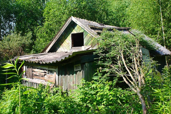 Uma Casa Madeira Ruínas Uma Antiga Aldeia Dacha — Fotografia de Stock