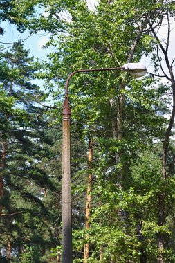 Orman parkındaki direğin üstündeki fener.