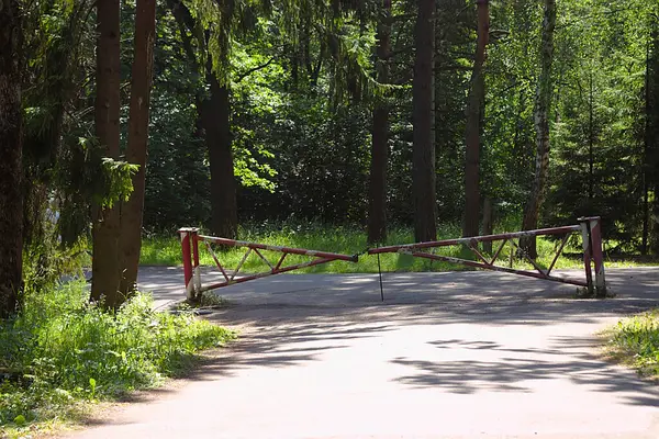 Orman Parkındaki Yol Kapalı — Stok fotoğraf