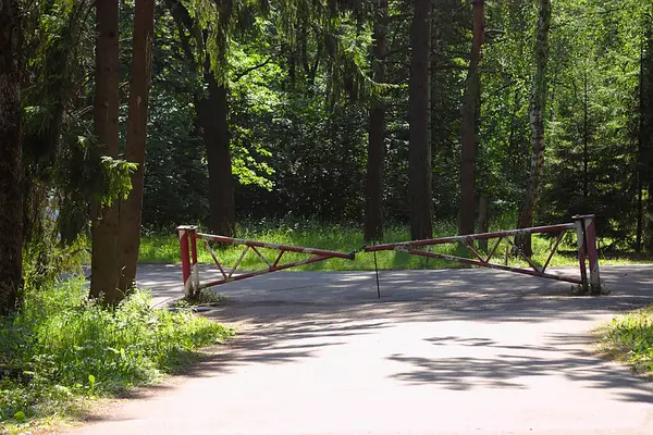 Дорога Лісовому Парку Заблокована — стокове фото