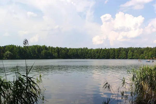 Een Meer Het Bos Een Warme Zomerdag — Stockfoto