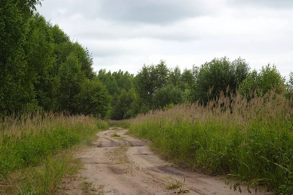 Ormanın Kenarında Toprak Bir Yol — Stok fotoğraf