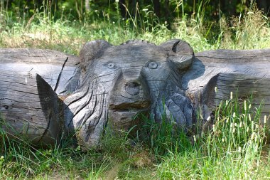 Ayının yüzü eski kalın bir kütüğe oyulmuş.