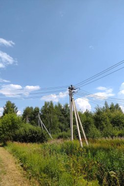 Ormanın kenarında elektrik hatları var.