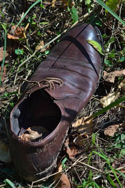 Çimlerin üzerinde eski bir ayakkabı