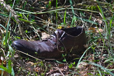 Çimlerin üzerinde eski bir ayakkabı