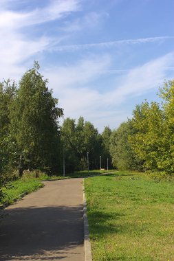 Sonbahar parkındaki patika mesafeye gidiyor.