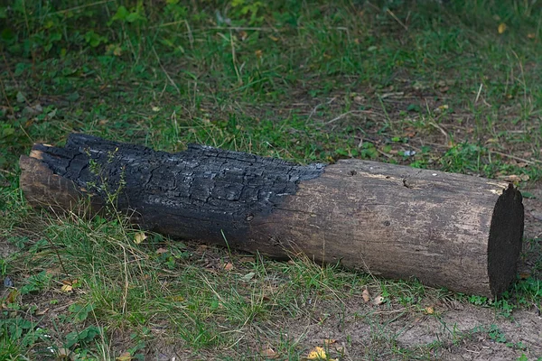 Een Verbrande Boomstam Het Grasveld — Stockfoto