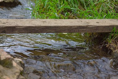 Nehrin üzerinden köprü olarak atılan bir tahta.
