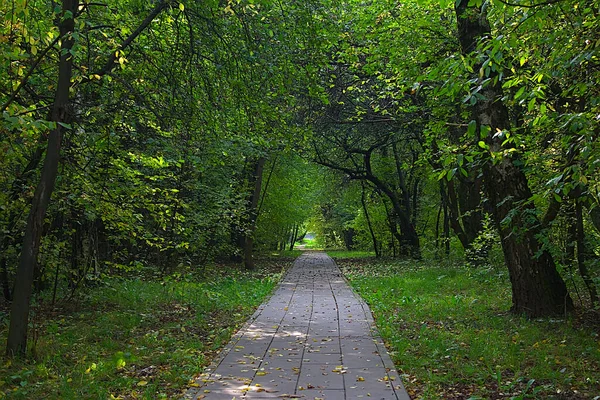 Caminho Parque Velho Uma Manhã Outono — Fotografia de Stock