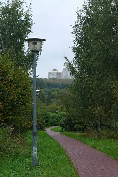 Lyktor Längs Stigen Parken — Stockfoto