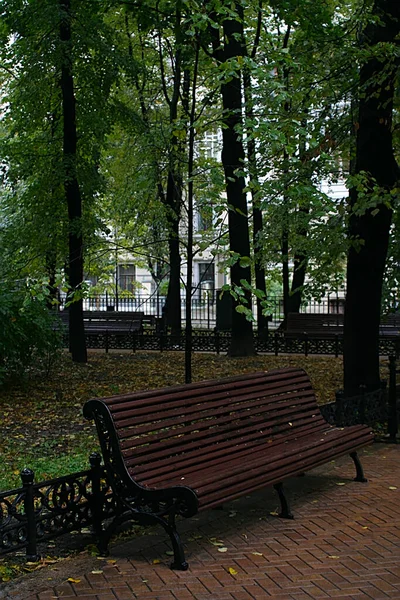 Bulutlu Bir Sabahta Sonbahar Parkında Islak Banklar — Stok fotoğraf