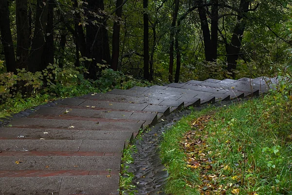 Sonbahar Parkındaki Patika Mesafeye Gidiyor — Stok fotoğraf