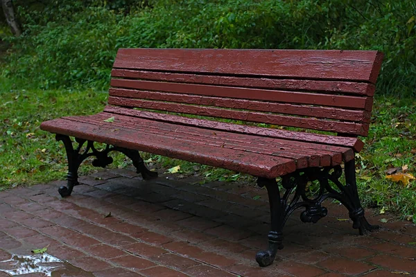 Nasse Bank Einem Herbstlichen Park Einem Trüben Morgen — Stockfoto