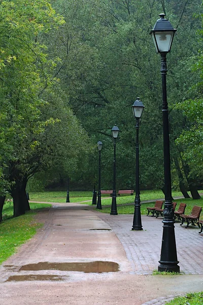 Caminho Parque Outono Vai Distância — Fotografia de Stock