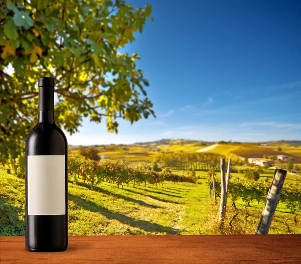 Botella de vino en viñedos — Foto de Stock