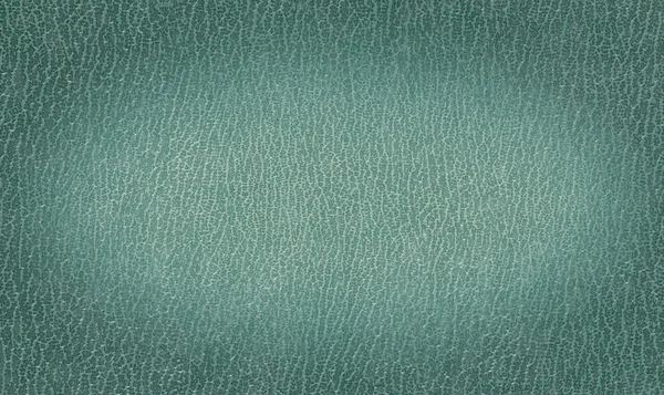 Texture in pelle verde — Foto Stock