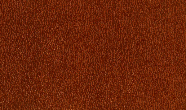 Brown Leather texture — Stock Photo, Image