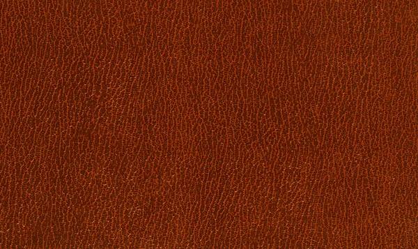 Texture cuir marron — Photo