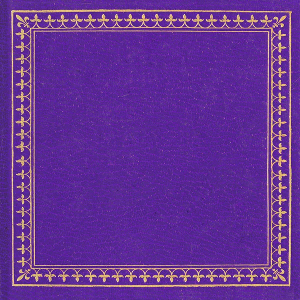 Capa de couro violeta — Fotografia de Stock