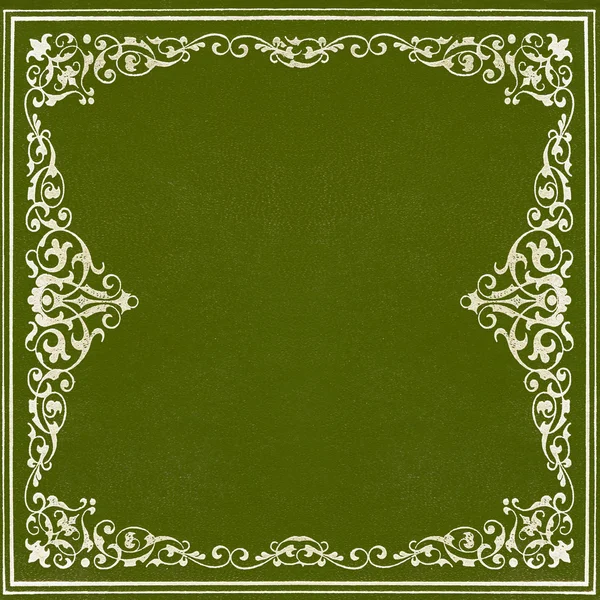 Ciemny zielony i srebrny skórzane pokrycie — Zdjęcie stockowe