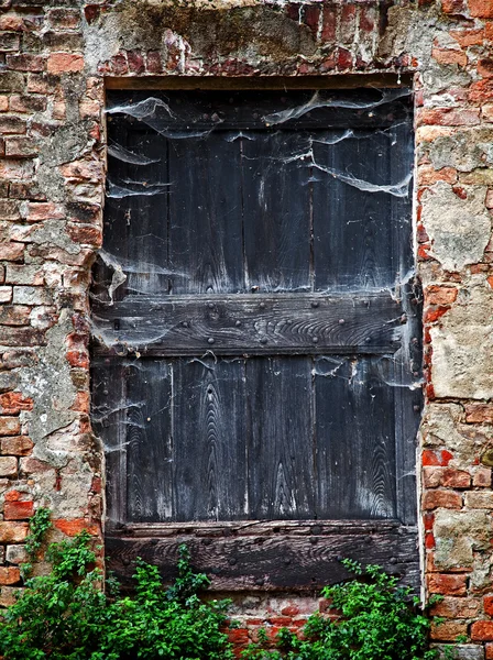 Vieille porte (fond effrayant ) — Photo