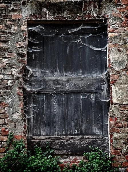 Alte Tür (beängstigender Hintergrund) — Stockfoto