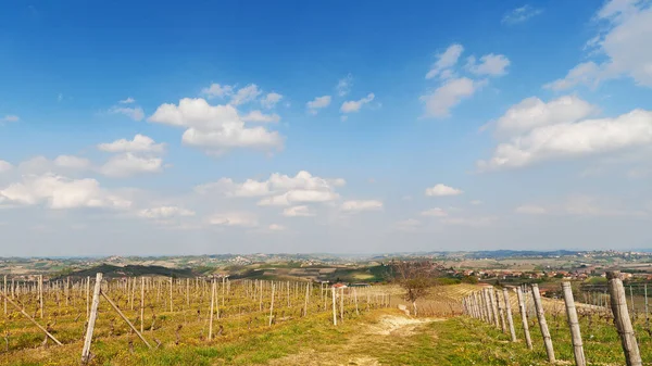 春にブドウ畑と風景 雲と空 あなたのロゴやテキストのスペース イタリア ピエモンテ州アスティ付近 — ストック写真