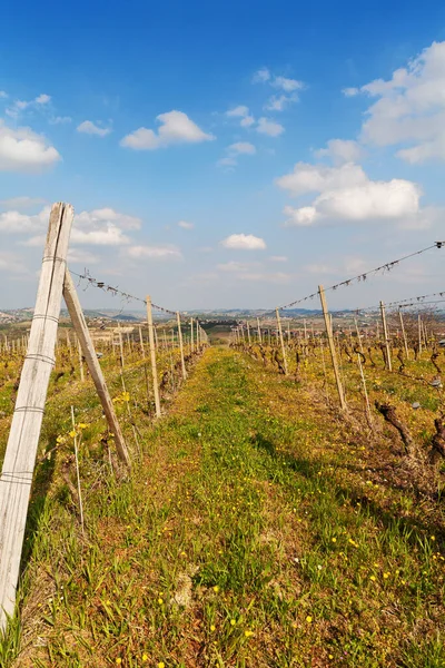 Krajina Vinicemi Jaře Obloha Mraky Poblíž Asti Piemont Itálie Svisle — Stock fotografie