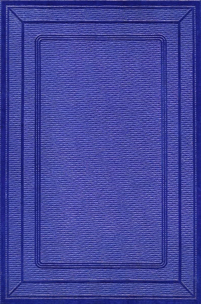 Capa de couro azul — Fotografia de Stock