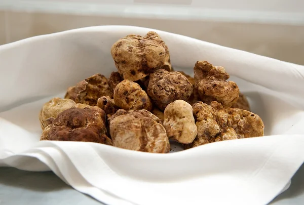 Italiaanse witte truffels — Stockfoto