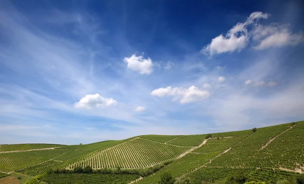 Astigiano, piemont, italien landschaft — Stockfoto