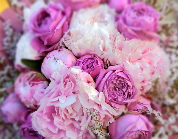 Detalhe do buquê de rosas rosa — Fotografia de Stock