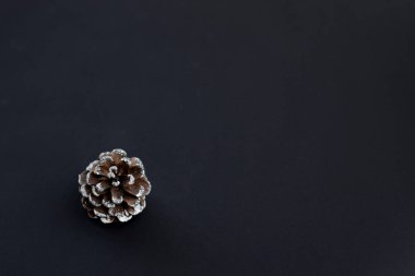 Siyah arka planda çam kozalağı. Yaratıcı layou