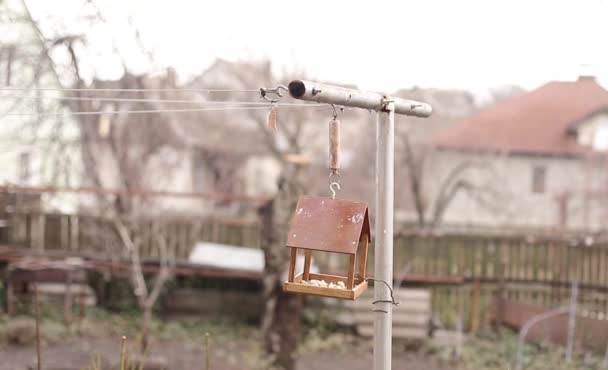 Vogelfutterhäuschen Der Kalten Jahreszeit Kleine Vögel Spatzen Und Meisen Fliegen — Stockvideo