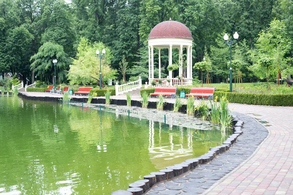 Grüner Park Mit Einem See Und Einem Bedrängten Hintergrundbild Mit — Stockfoto