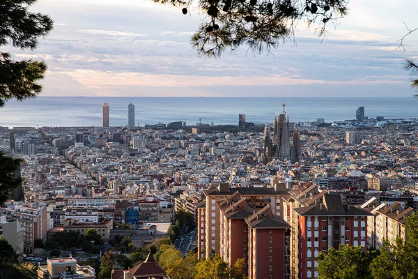 Sagrada Familia ile Barselona siluetinin panoramik görüntüsü. Barselona İspanya 21.10.2023