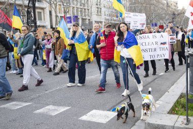 Ukraynalıların Avrupa 'daki barışçıl mitingleri uzun savaş yıllarını ve Rus saldırganlığını hatırlatıyor. Ukrayna 'da barışı destekleyen bayraklı ve posterli eylemciler. Barselona İspanya 22.02.2026