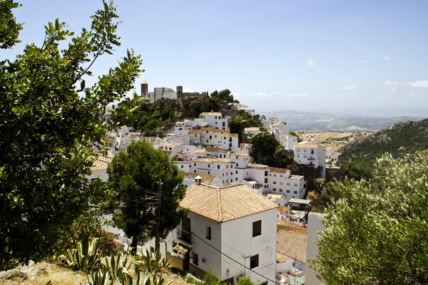 Pueblo típico andaluz blanco —  Fotos de Stock