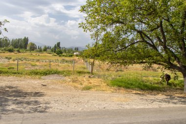 Azerbaycan 'ın Quba bölgesi. Quba bölgesi Büyük Kafkasya 'nın doğu yamaçlarında yer almaktadır..