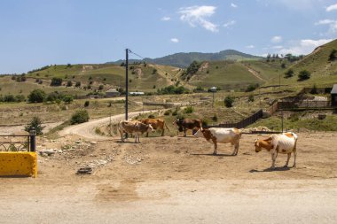 Laza Falls, Qusar, Azerbaycan. Shahdag dağının eteklerindeki inanılmaz doğa parkı..