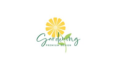 Renkli sarı çiçek papatya logo sembolü vektör ikonu grafik tasarımı