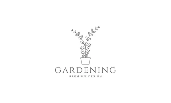ラベンダーの植物のロゴのシンボルベクトルアイコンイラストグラフィックデザイン — ストックベクタ
