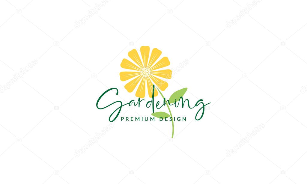 Colorful yellow flower daisy logo symbol vector icon illustration graphic design